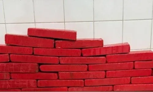 
				
					Mulher é detida com 46 tabletes de maconha em ônibus na Bahia
				
				