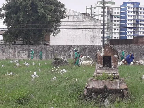 
				
					'Tudo mato': ouvinte denuncia abandono no Cemitério de Brotas
				
				