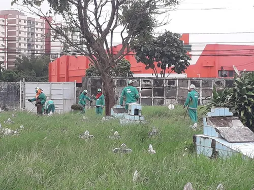 
				
					'Tudo mato': ouvinte denuncia abandono no Cemitério de Brotas
				
				