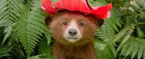 
				
					'Paddington: Uma Aventura na Floresta' chega aos cinemas
				
				