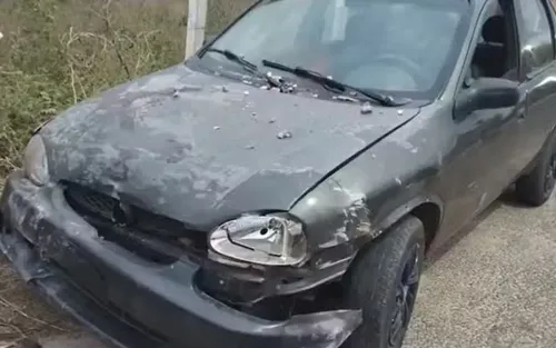 
				
					Pai perde controle de carro, gêmeos são atropelados e morrem na Bahia
				
				