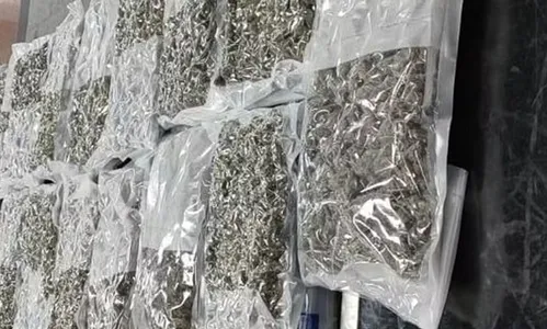 
				
					Polícia apreende 10 kg de 'supermaconha' no Aeroporto de Salvador
				
				