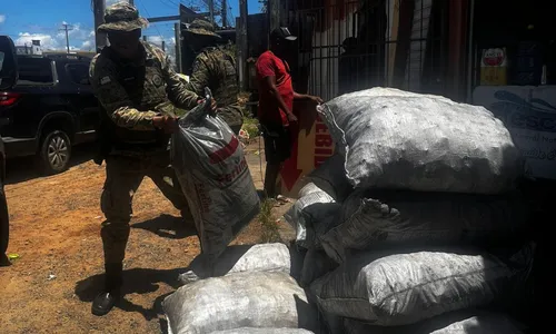 
				
					Polícia apreende três toneladas de carvão ilegal na Bahia
				
				