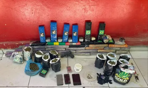 
				
					Polícia desarticula cultivo de maconha em cidade turística da Bahia
				
				