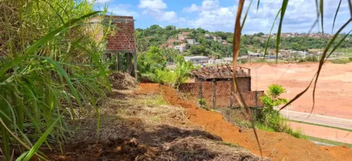 
				
					Polícia investiga escavação em 'espaço sagrado' usado por terreiros
				
				