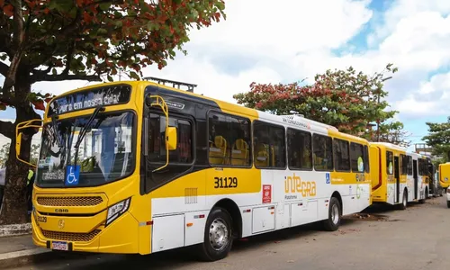 
				
					Salvador tem linhas de ônibus reativadas após reavaliação; veja quais
				
				