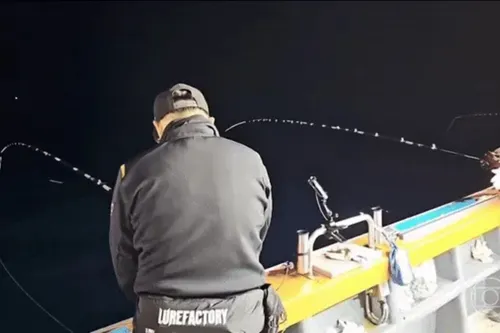 
				
					Tubarão salta dentro do barco e assusta pescadores
				
				