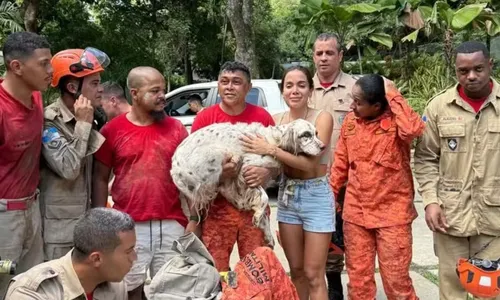 
				
					Veja o momento em que o cachorro de Anitta é resgatado; VÍDEO
				
				