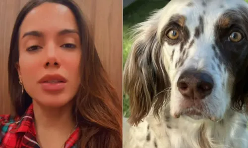 
				
					Veja o momento em que o cachorro de Anitta é resgatado; VÍDEO
				
				