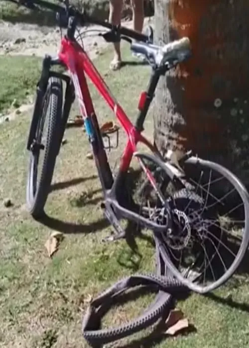 
				
					Ciclista de 79 anos morre após ser atropelado por carro na Bahia
				
				