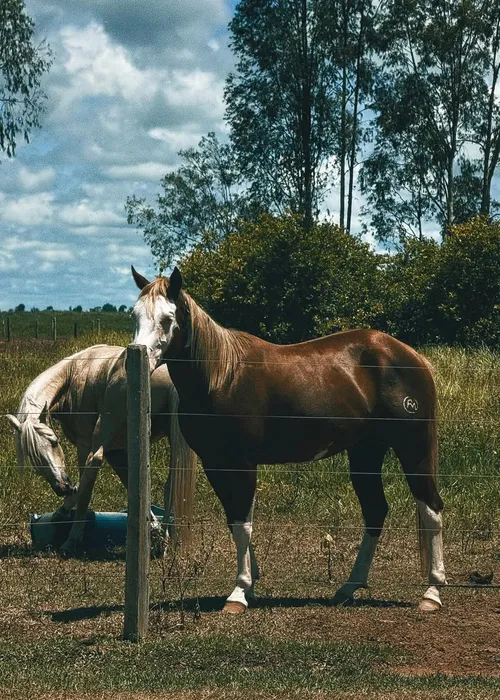 
					João Guilherme abre álbum de fotos após 'climão' em aniversário; veja
				
				