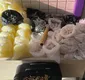 
                  Polícia Militar apreende quase 4 mil pedras de crack em Águas Claras