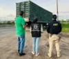 Caminhão com 2 mil frangos é apreendido no interior da Bahia