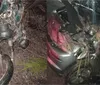 Dois jovens morrem em acidente com moto e carro na BR-101