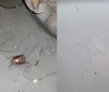 Final de semana em Salvador tem menos dois ataques a tiros e tiroteios