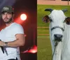 Murilo Huff compra vaca por R$ 17 milhões após briga com ex-sogra