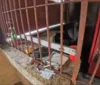 Pastelaria é arrombada, saqueada e incendiada em bairro de Salvador