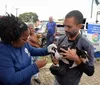 Prefeitura de Salvador promove Dia D de vacinação antirrábica em cães