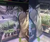 Preso com 4 estufas para cultivo de maconha em apartamento em Salvador