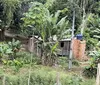 Resgatados trabalhadores em condições análogas à escravidão na Bahia