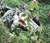 Técnica de enfermagem morre após carro cair em mata na Bahia