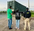 Frangos apreendidos em Feira de Santana são incinerados e doados