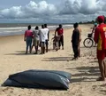 Pai e filho morrem afogados após mergulho em praia turística na Bahia