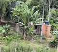Resgatados trabalhadores em condições análogas à escravidão na Bahia