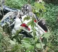 Técnica de enfermagem morre após carro cair em mata na Bahia
