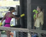 A Fazenda 17: Kathy e Saory formam aliança para pôr fim em Fabiano