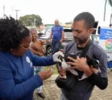 Prefeitura de Salvador promove Dia D de vacinação antirrábica em cães