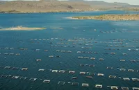 'Onde tem Bahia': 2ª temporada aborda a importância da economia do mar