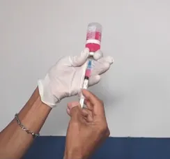 Cão é diagnosticado com raiva em Salvador após 20 anos sem registro