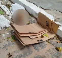 Crânio é achado na BA e polícia supõe ligação com furto em cemitério