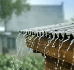 Ouvir o que a dor tem a dizer