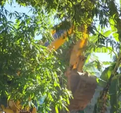 Terreiro em área de proteção ambiental é demolido em Salvador