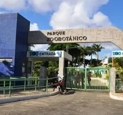 Zoológico de Salvador reabre após três meses de reforma
