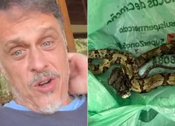 Estrela de 'A Viagem' é picado por cobra e é levado para emergência