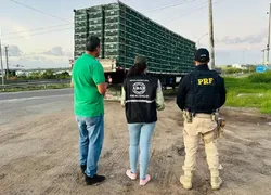 Frangos apreendidos em Feira de Santana são incinerados e doados