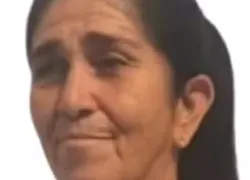 Idosa de 70 anos morre após ser atacada por vaca no interior da Bahia