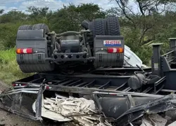 Motorista perde controle de carreta após ser picado por abelhas na BA