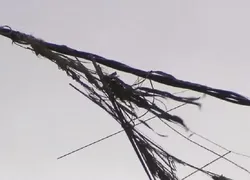 Mulher é eletrocutada após tentar alcançar pipa em fiação na Bahia