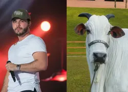 Murilo Huff compra vaca por R$ 17 milhões após briga com ex-sogra