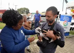 Prefeitura de Salvador promove Dia D de vacinação antirrábica em cães