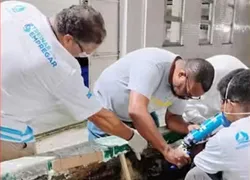 Projeto oferece 100 vagas de capacitação para setor náutico na Bahia