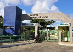 Zoológico de Salvador reabre após três meses de reforma
