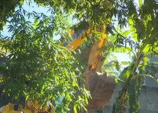 Terreiro em área de proteção ambiental é demolido em Salvador