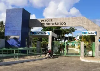 Zoológico de Salvador reabre após três meses de reforma