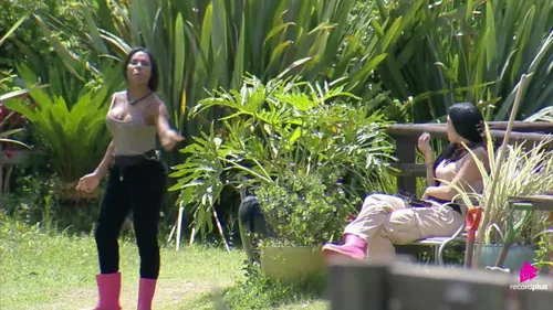 
					A Fazenda 17: Rayane ofende Carol e cita 34 plásticas: 'Continua feia'
				
				