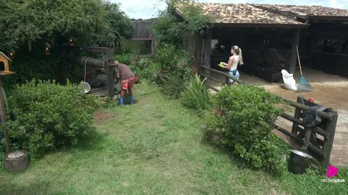 
					A Fazenda 17: Saory provoca Mesquita em trato: 'Sem beijo, não faz'
				
				